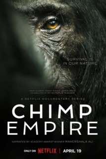 Империя шимпанзе